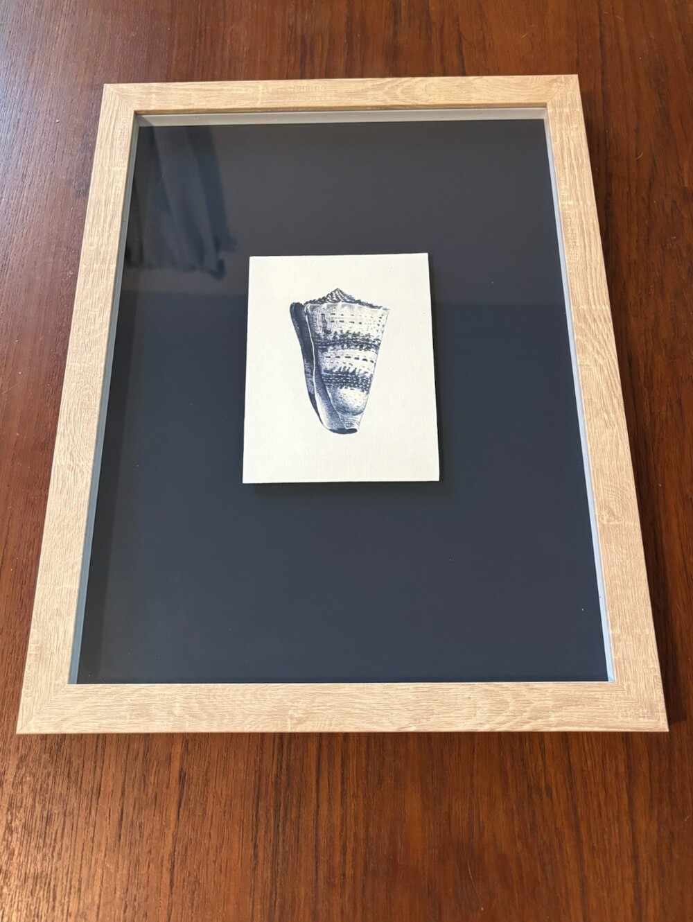 Ashland 11"x14" Coastal Blue Shell Art Wall Decor with Light Oak Frame